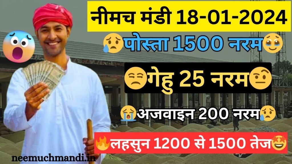 18/01/2024 Neemuch Mandi Today Bhav