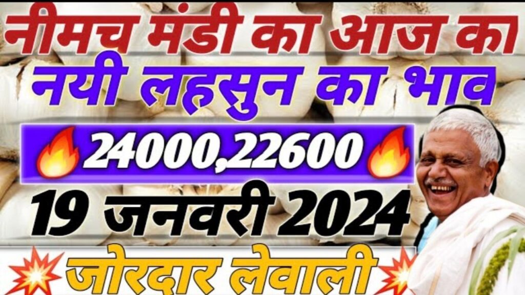 आज का लहसुन का भाव | Aaj Ka Lahsun Bhav | Today Garlic Price 19/01/2024