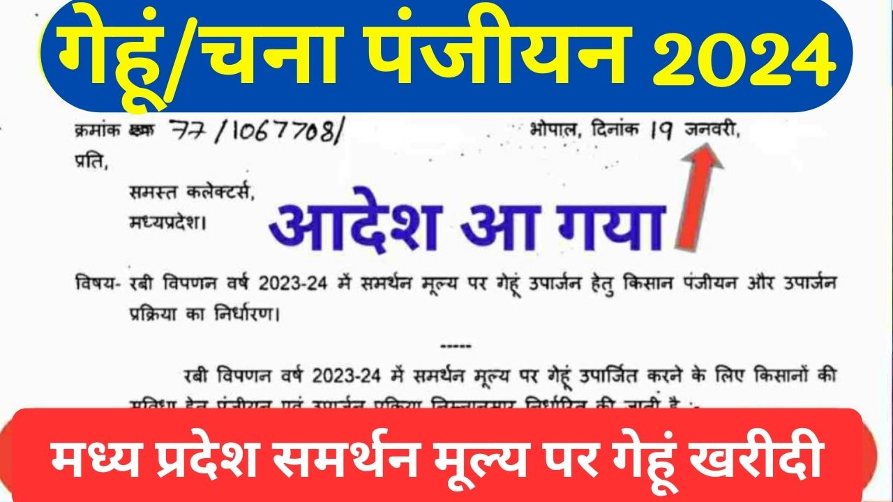 MP e uparjan 2024