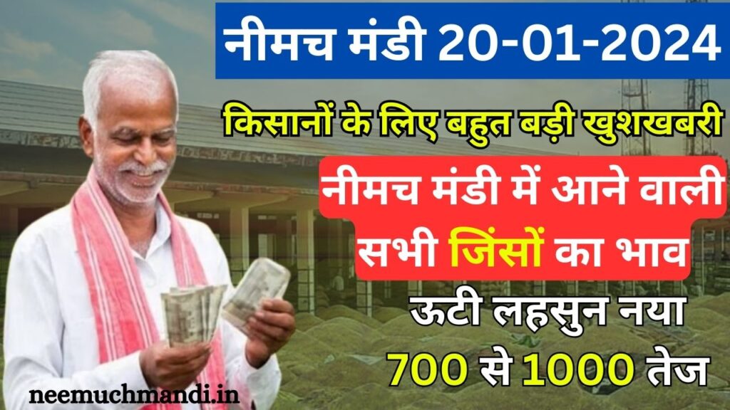 20/01/2024 Neemuch Mandi Today Bhav: नीमच मंडी में आने वाली सभी जिंसों का भाव