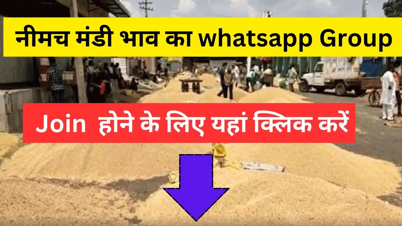 Neemuch mandi Whatsapp group Link: neemuch mandi bhav ka whatspp group, neemuch mandi bhav today