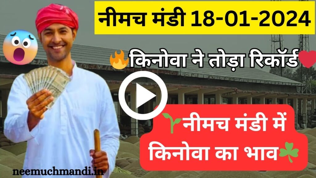 18/01/2024 Neemuch Mandi kinova bhav Today