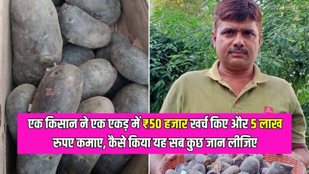 A farmer spent ₹ 50 thousand in one acre and earned 5 lakh rupees, know everything about how he did it