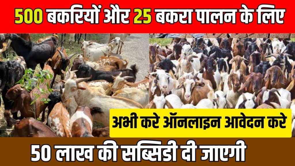 Goat Farming Subsidy 2024