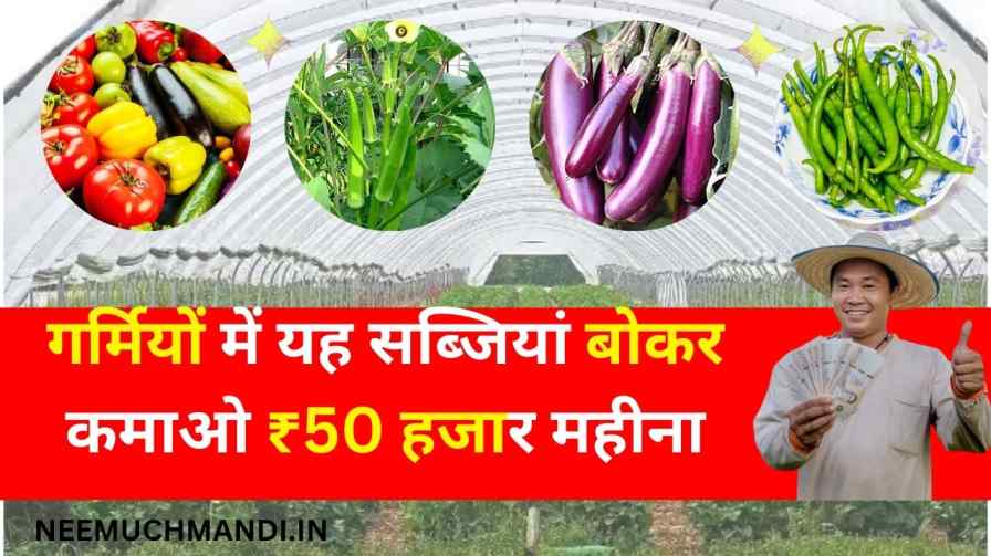 गर्मियों में यह सब्जियां बोकर कमाओ ₹50 हजार महीना