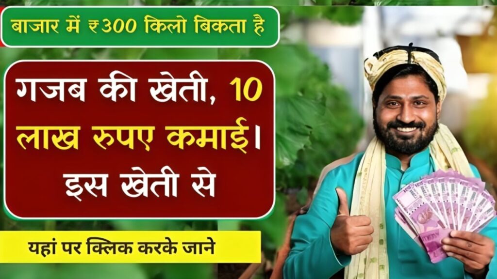 अजब गजब की खेती 5 महीने में कमाई 10 लाख रुपए , सिर्फ और सिर्फ इस खेती से