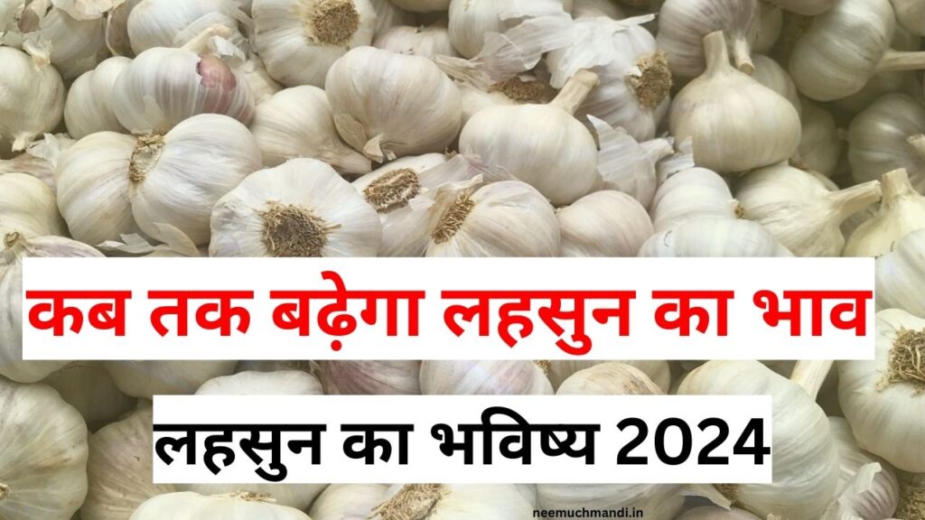 Garlic future 2024: इस साल लहसुन के दाम होंगे 30000 रु प्रति क्विंटल, देखिये विदेशो में लहसुन की मांग कितनी