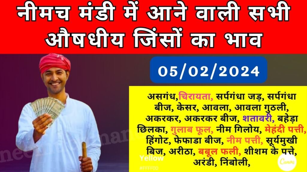 05/02/2024 Neemuch Mandi Me Aaj Ka Oshadi Ka Bhav | नीमच मंडी में आने वाली सभी औषधीय फसलों का भाव