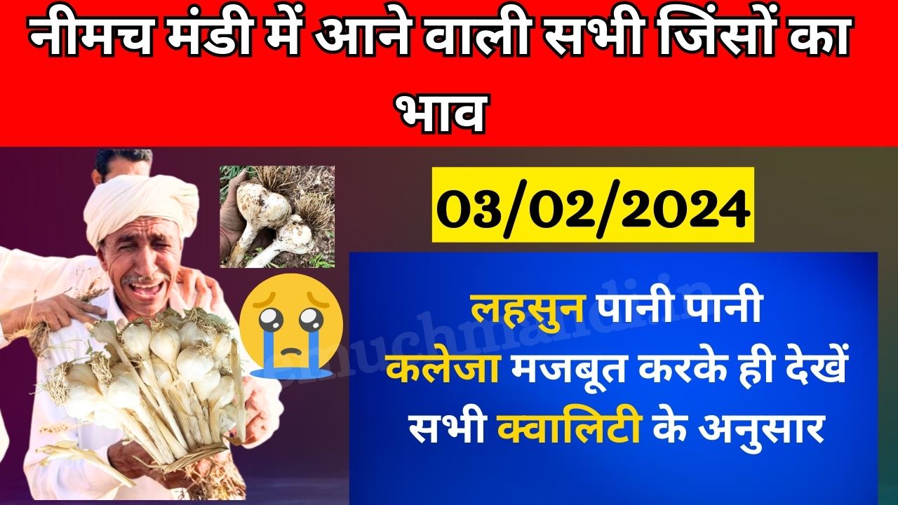 03/02/2024 आज का लहसुन का भाव | Aaj Ka Lahsun Ka Bhav | Today Garlic Rate | Garlic Price Today