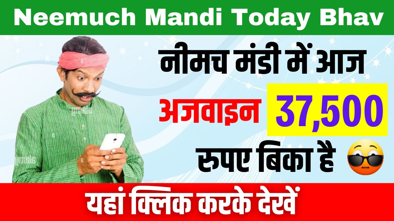 Neemuch Mandi Today Bhav | नीमच मंडी भाव आज का