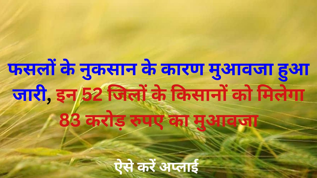 फसलों के नुकसान के कारण मुआवजा हुआ जारी इन 52 जिलों के किसानों को मिलेगा 83 करोड़ रुपए का मुआवजा