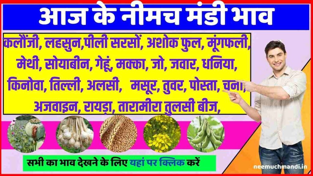 Today Mandi Bhav Neemuch Mandi