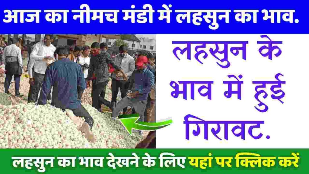 Neemuch Mandi Lahsun Ka Bhav Bataiye