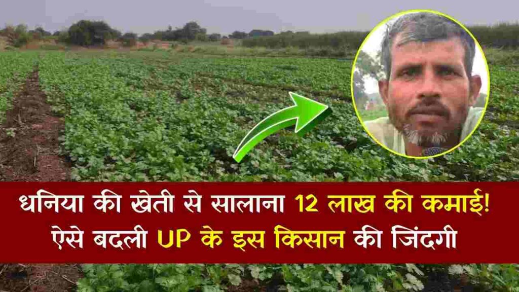 Success Story Of Farmer