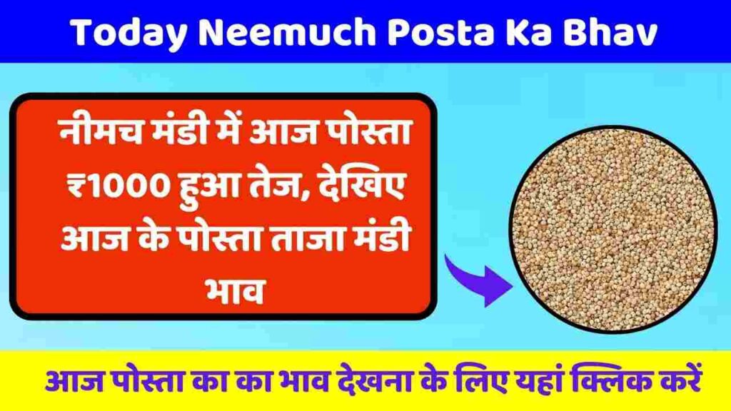 Neemuch Mandi Posta Ka Bhav