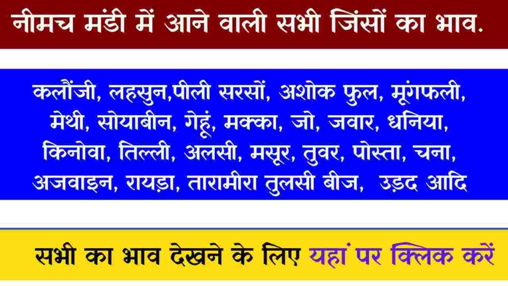 Neemuch Mandi Bhav Today