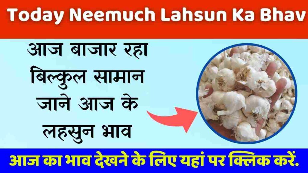 Today Neemuch Lahsun Ka Bhav