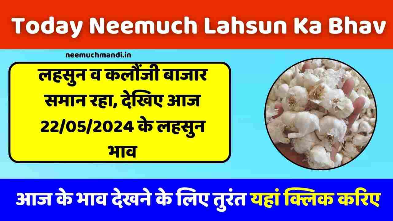 Today Neemuch Lahsun Ka Bhav