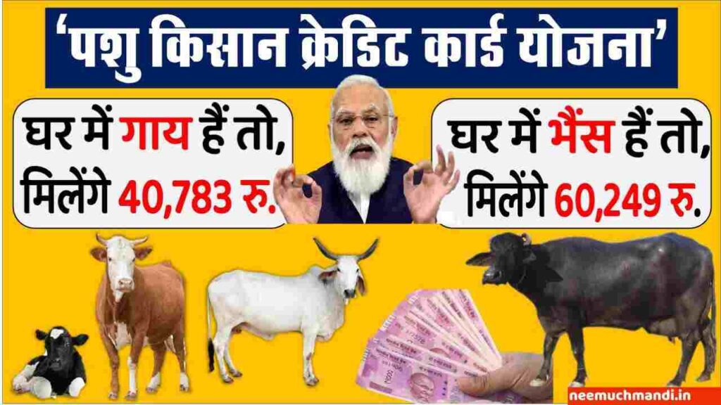 dairy farm loan subsidy 2024