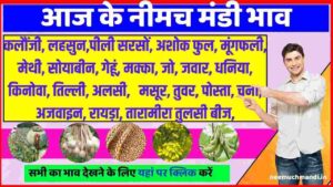 Neemuch Mandi Bhav Today 1