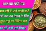 Neemuch Mandi Bhav Today 3 3.jpg 2