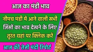 Neemuch Mandi Bhav Today 3 3.jpg 2