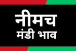 Neemuch mandi bhav 7 August 2024 1 1