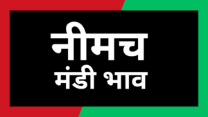 Neemuch mandi bhav 7 August 2024 1 1