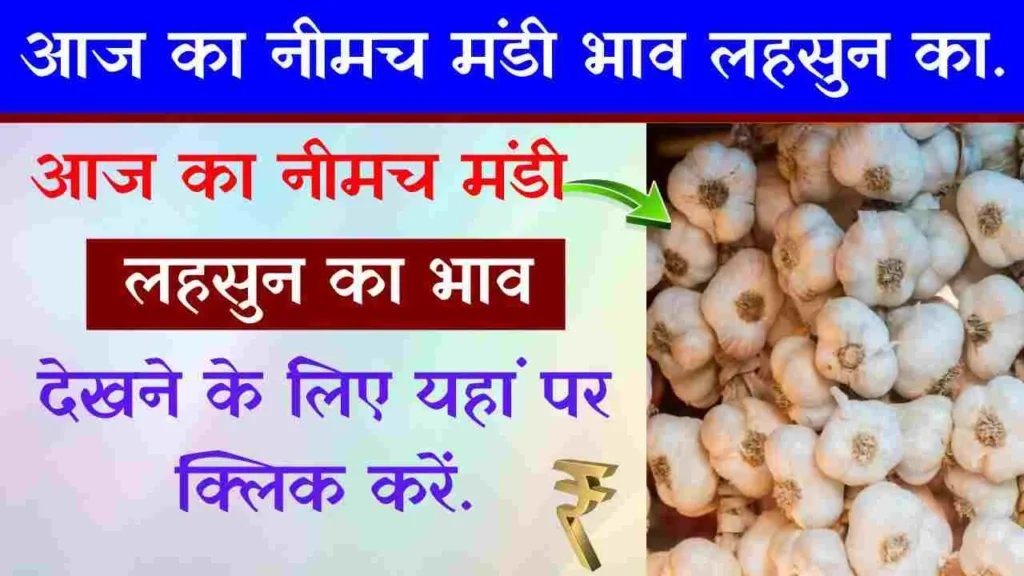 नीमच मंडी में देसी और ऊटी लहसुन का ताज़ा भाव – 3 जून 2025 का विस्तृत विश्लेषण 1 Today Mandi Bhav Lehsun ka 1 2.jpg