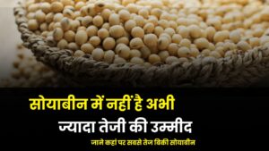 सोयाबीन में नहीं है अभी