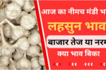 Neemuch Mandi Bhav 17 September