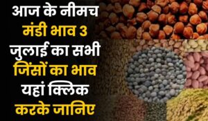 Neemuch Mandi Bhav Today 1 1024x597 1