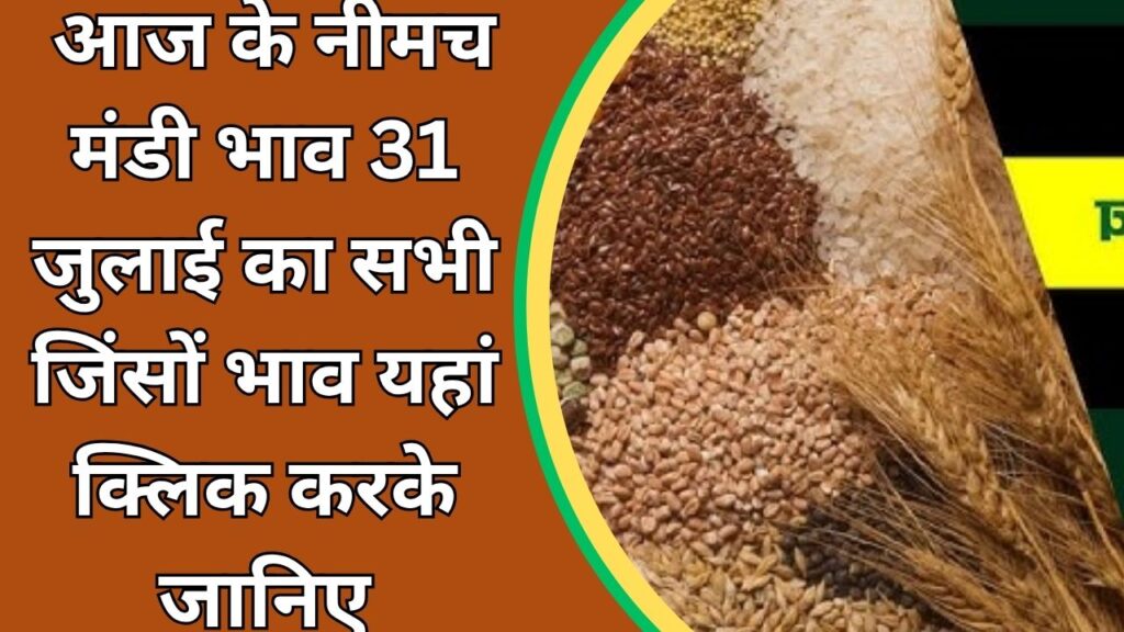 Neemuch Mandi Bhav Today (4)