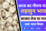 Neemuch Mandi Lahsun Bhav 1