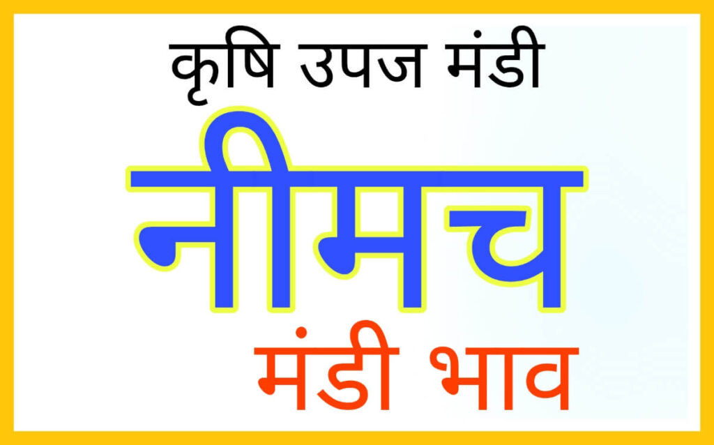 Neemuch Mandi Bhav Today