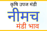 Neemuch Mandi Bhav Today
