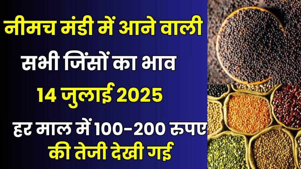 mandi bhav