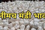 news20241112021431
