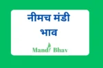 नीमच मंडी भाव Neemuch Mandi Bhav