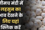 नीमच मंडी लहसुन भाव रिपोर्ट – 22 जुलाई 2025